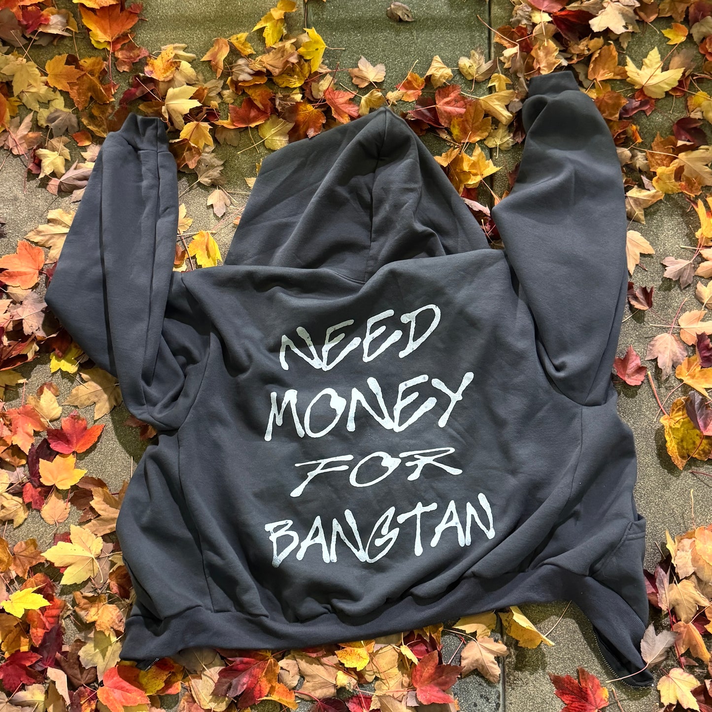 NEED $$$ FOR BANGTAN